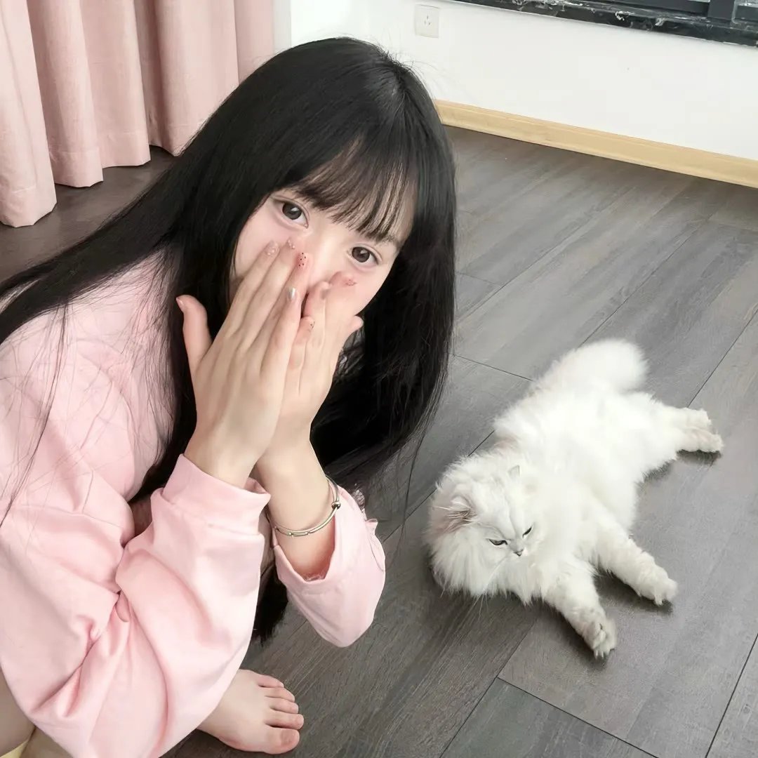 同路人